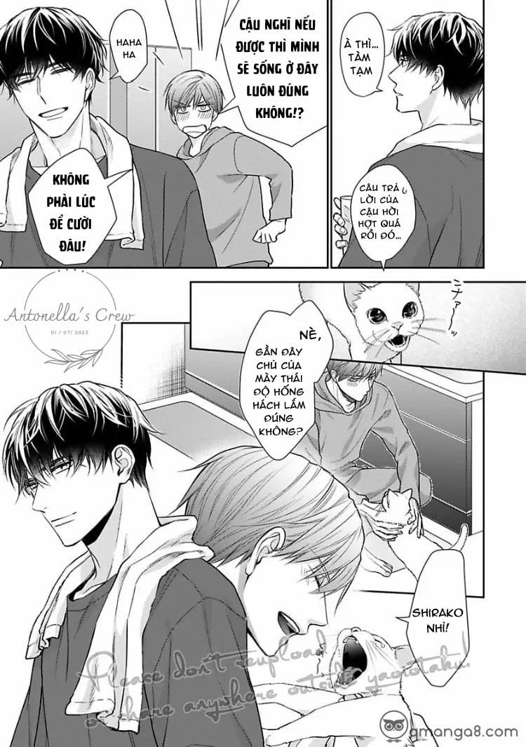 Hợp Đồng Sống Chung 4 trang 14