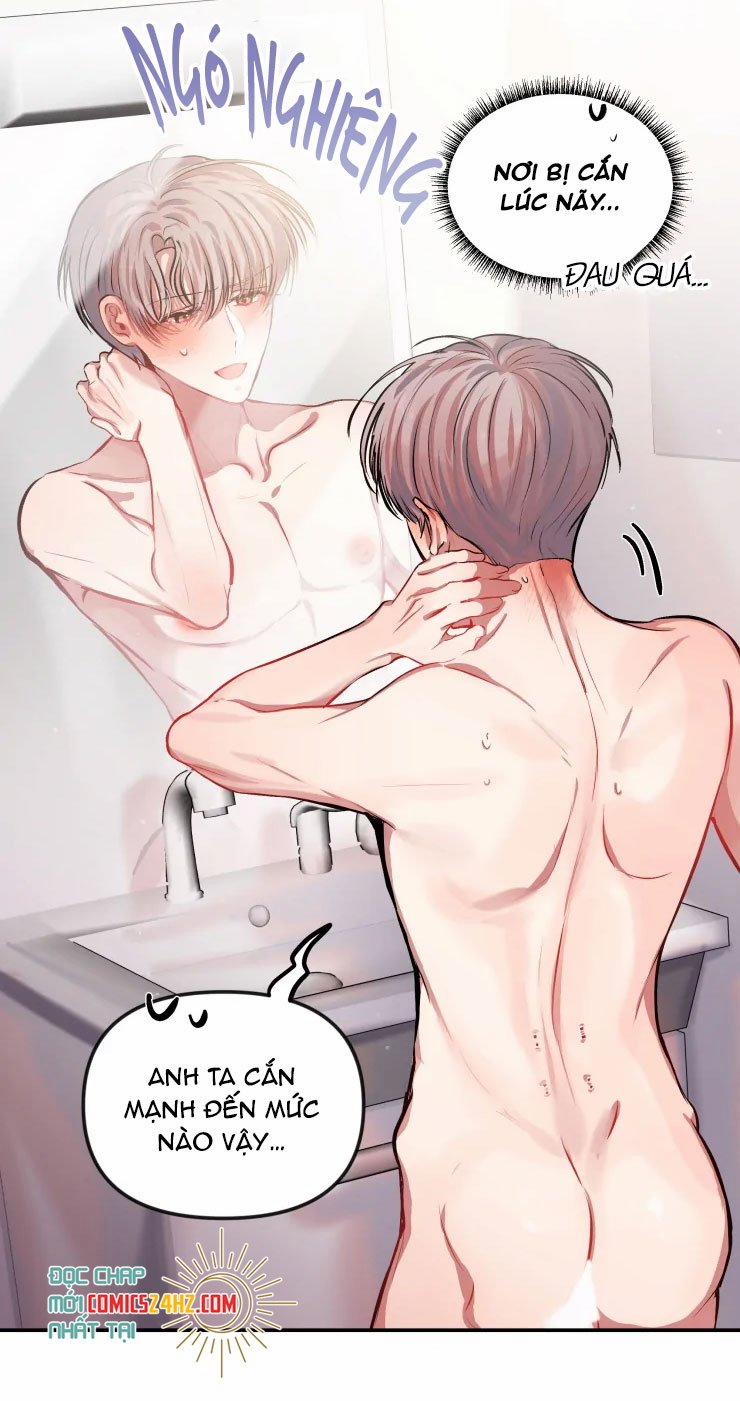 Hợp Đồng Tình Yêu 12 trang 14