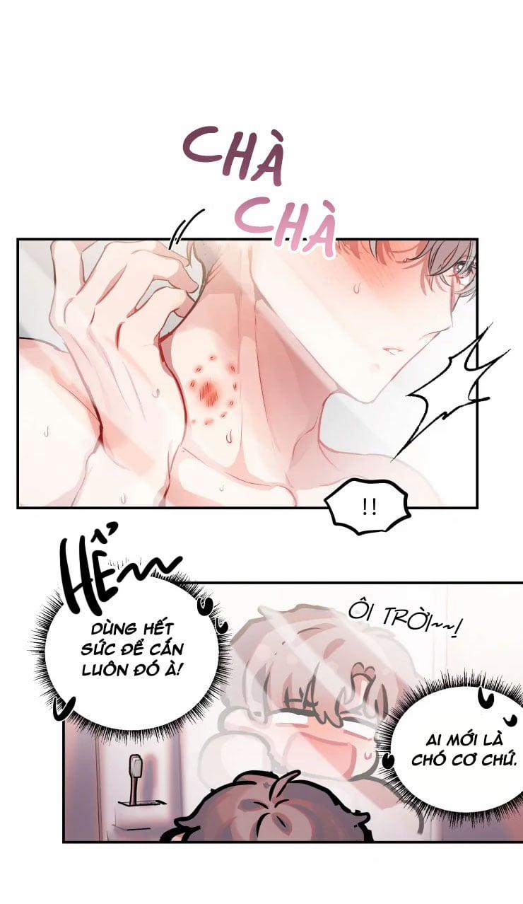 Hợp Đồng Tình Yêu 12 trang 15