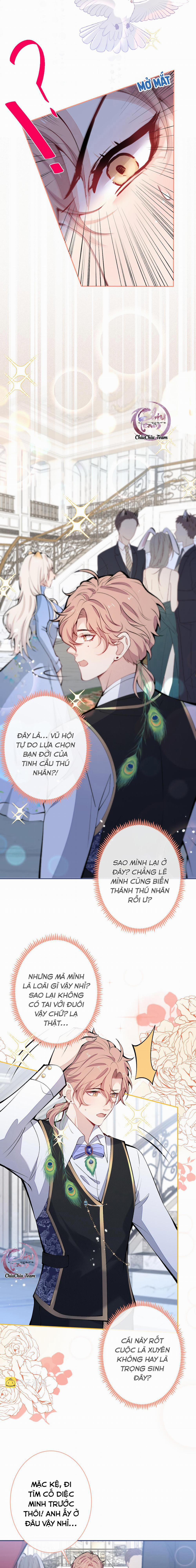 Hotsearch Của Ảnh Đế (END) 161.1 trang 2