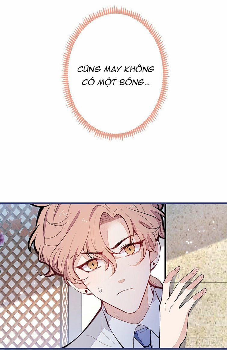 Hotsearch Của Ảnh Đế 137 trang 14