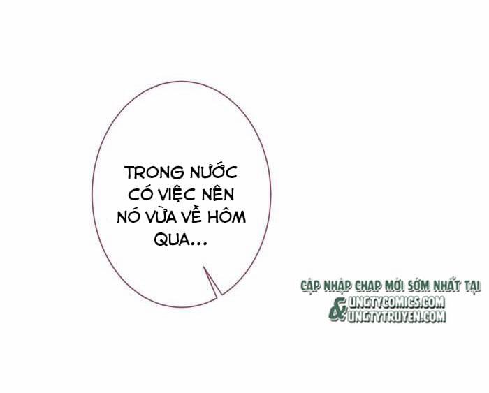 Hotsearch Của Ảnh Đế 71 trang 20