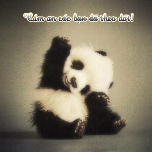 Houou Gakuen Misoragumi 17 trang 31