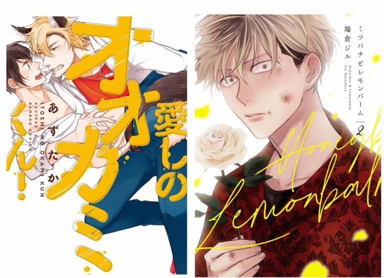 HSSBM (Ian-Raymond) 51 trang 19