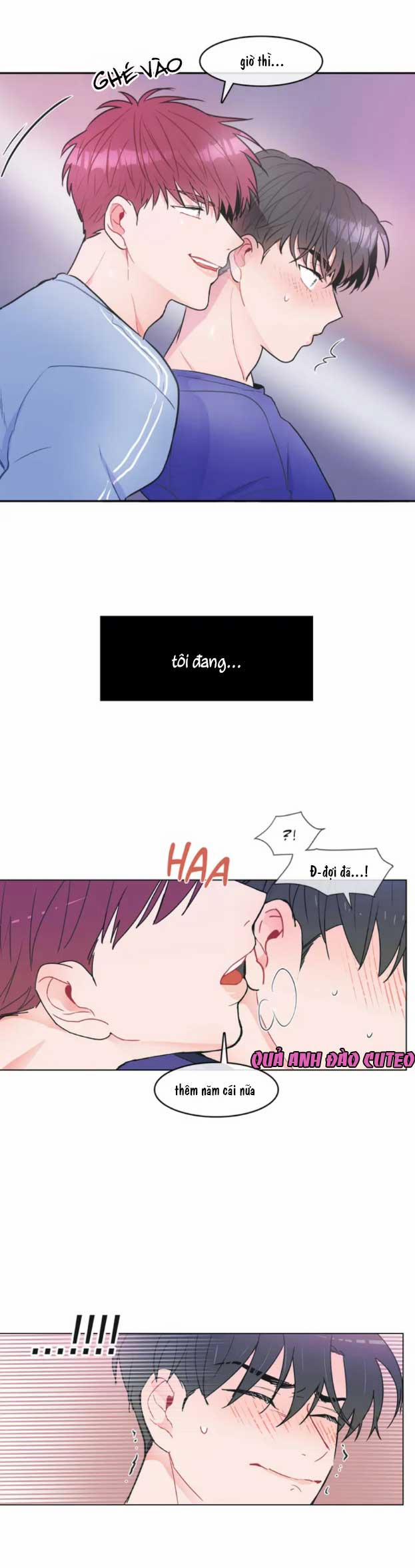 Huấn Luyện Viên Tôi Ghét Cậu 1 trang 2