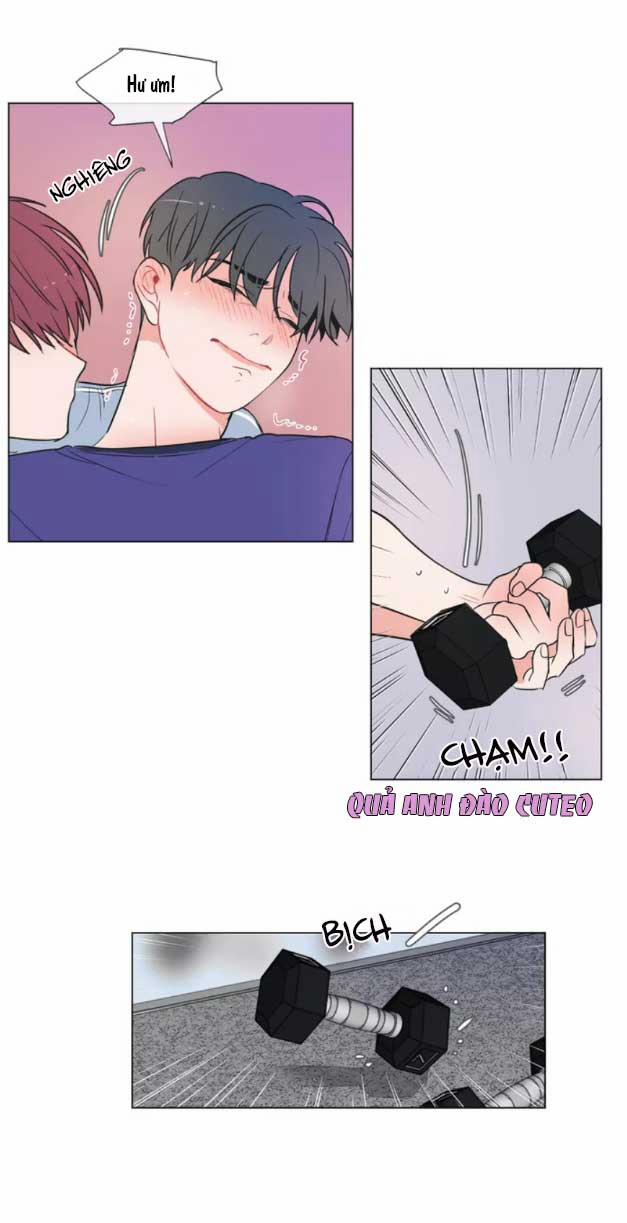 Huấn Luyện Viên Tôi Ghét Cậu 1 trang 6