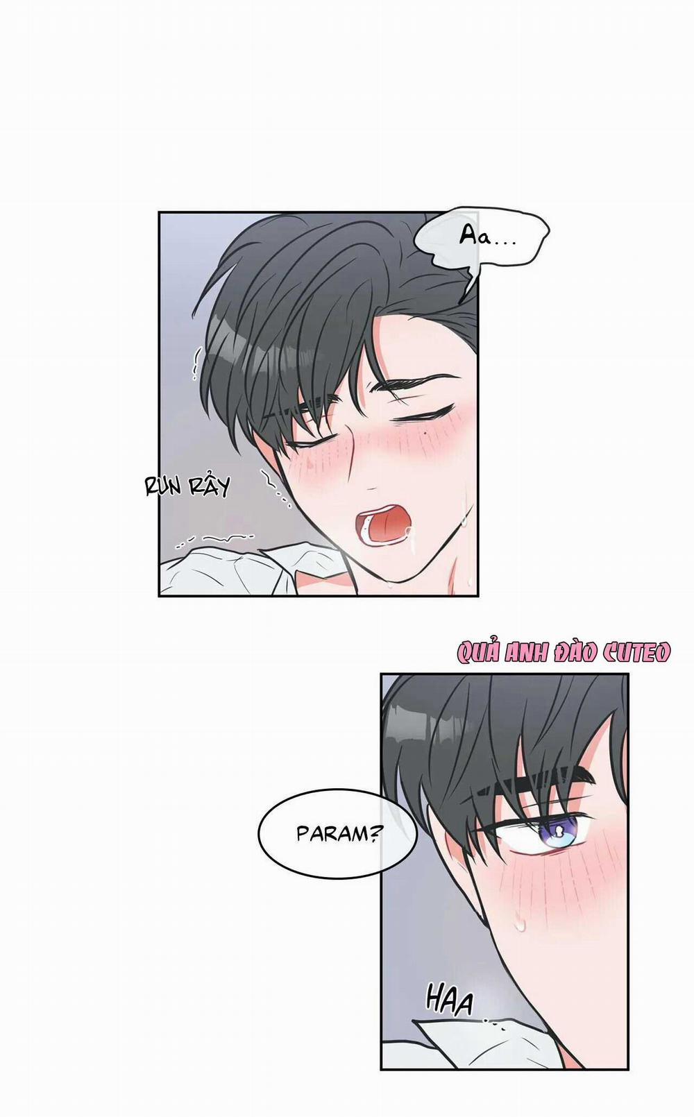 Huấn Luyện Viên Tôi Ghét Cậu 10 trang 1