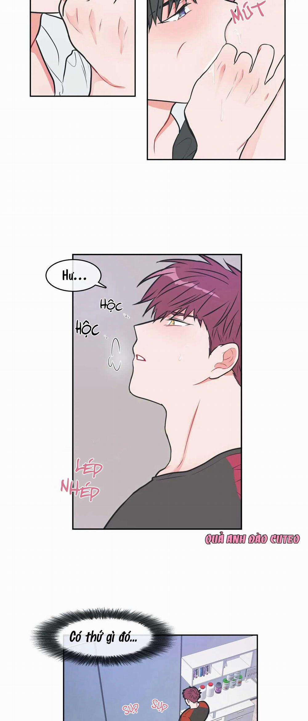 Huấn Luyện Viên Tôi Ghét Cậu 10 trang 10