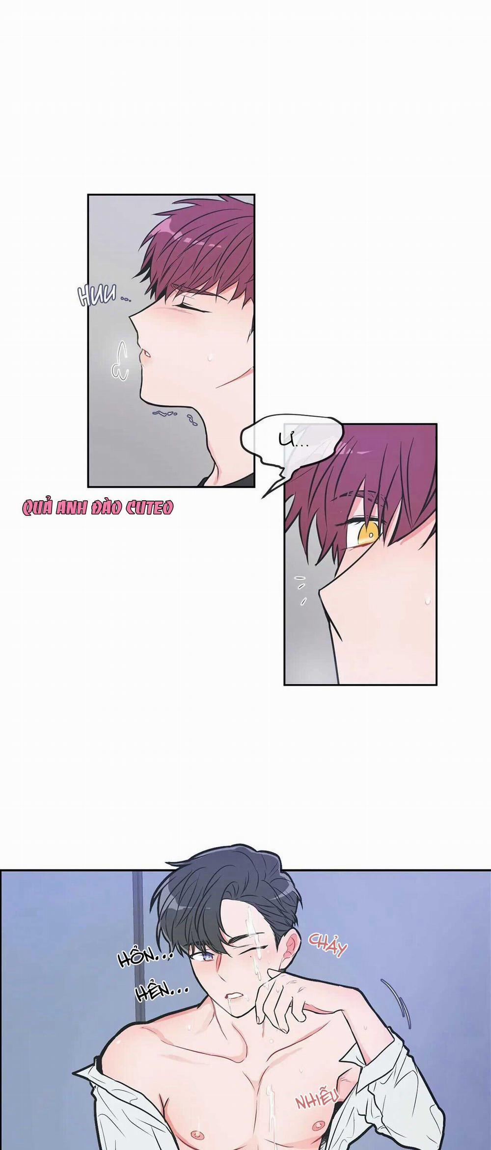 Huấn Luyện Viên Tôi Ghét Cậu 10 trang 16