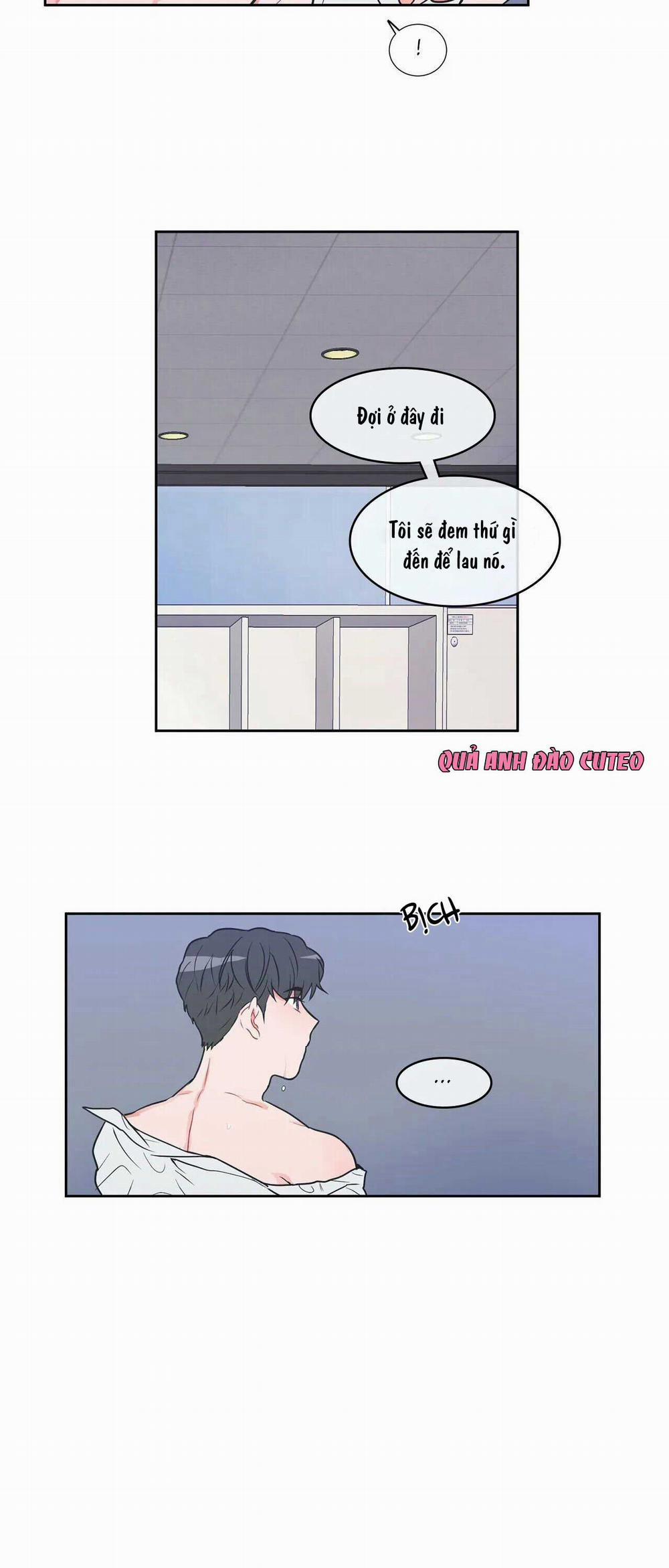 Huấn Luyện Viên Tôi Ghét Cậu 10 trang 19