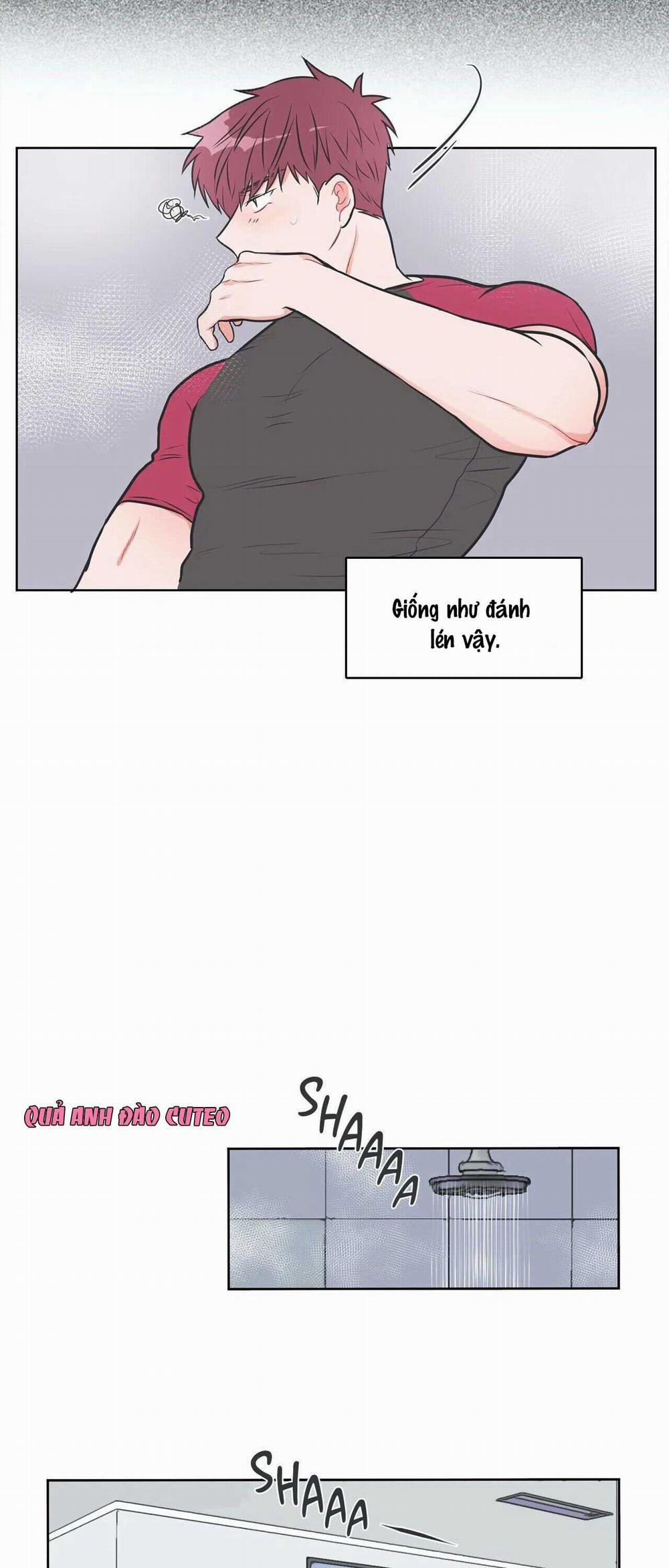 Huấn Luyện Viên Tôi Ghét Cậu 10 trang 23