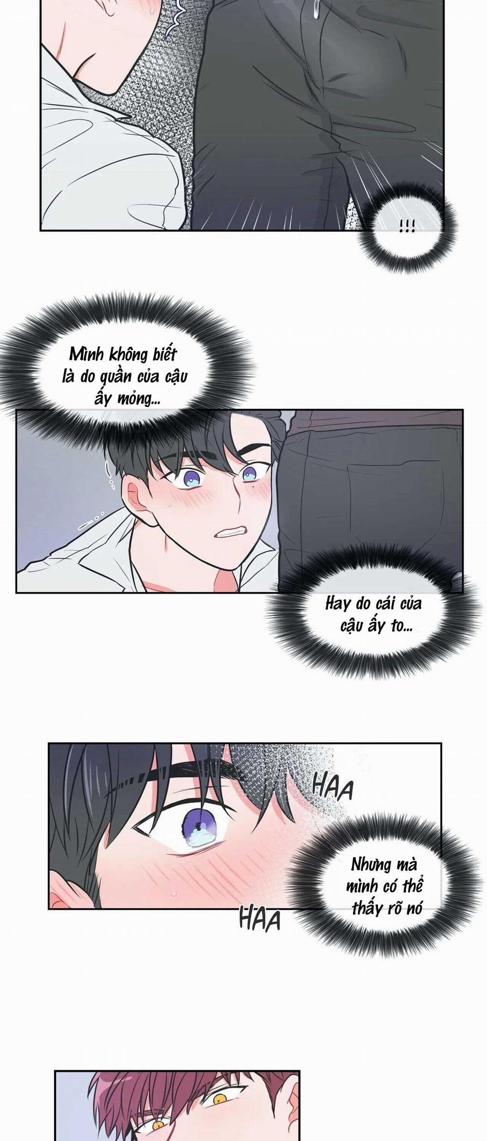 Huấn Luyện Viên Tôi Ghét Cậu 10 trang 5