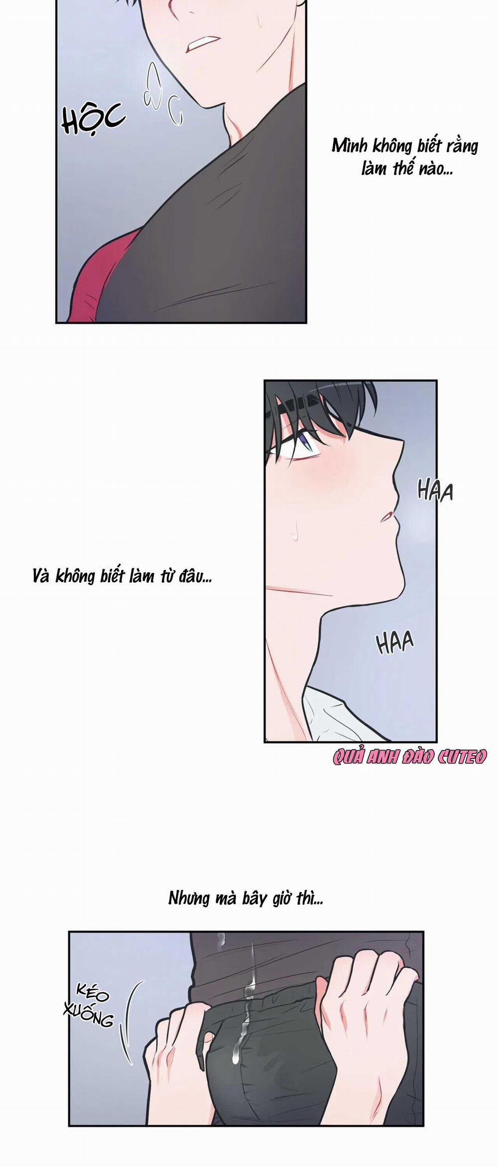 Huấn Luyện Viên Tôi Ghét Cậu 10 trang 6