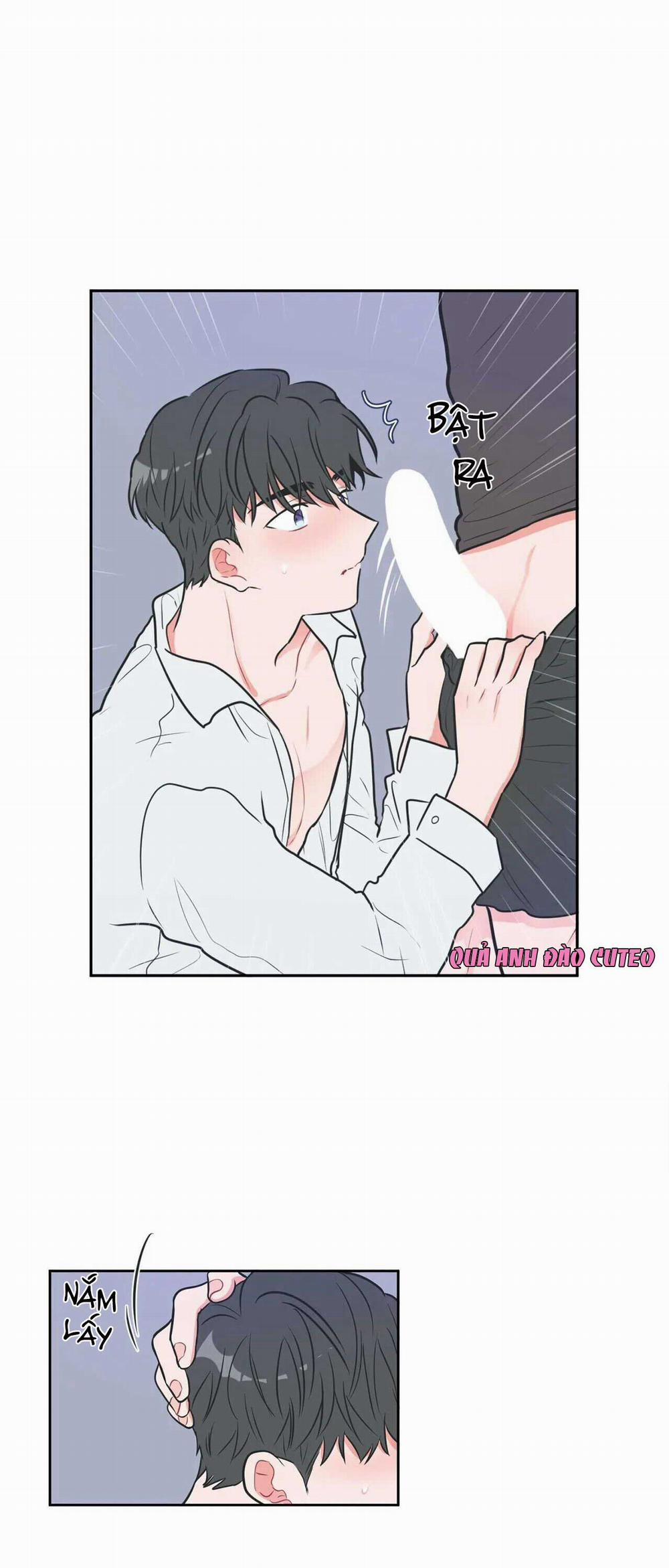 Huấn Luyện Viên Tôi Ghét Cậu 10 trang 7