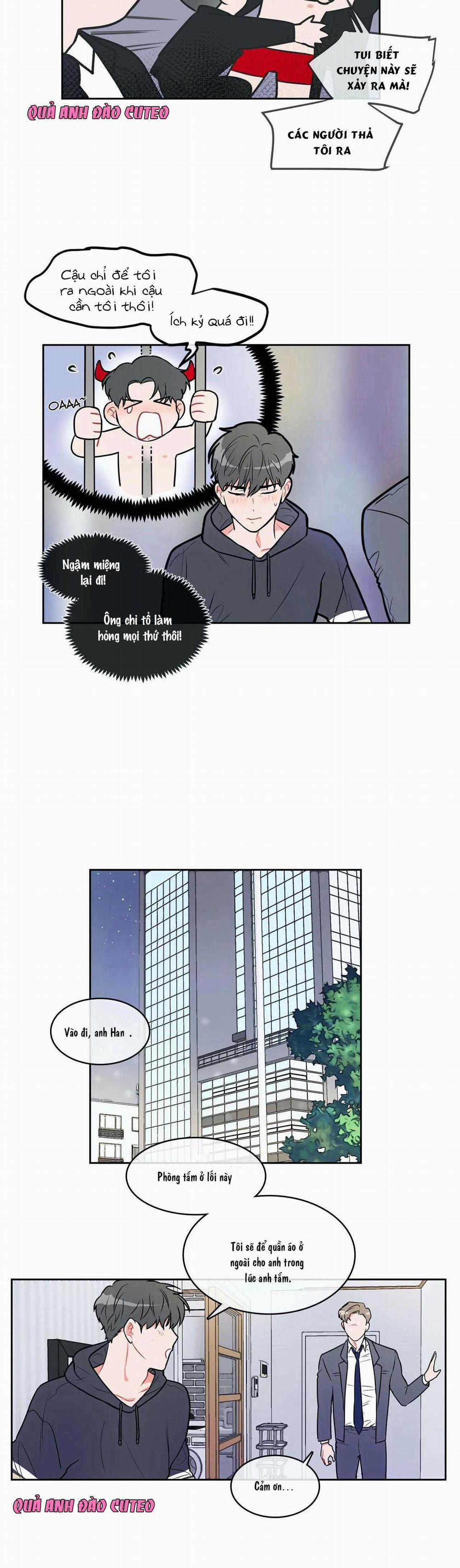 Huấn Luyện Viên Tôi Ghét Cậu 12 trang 11