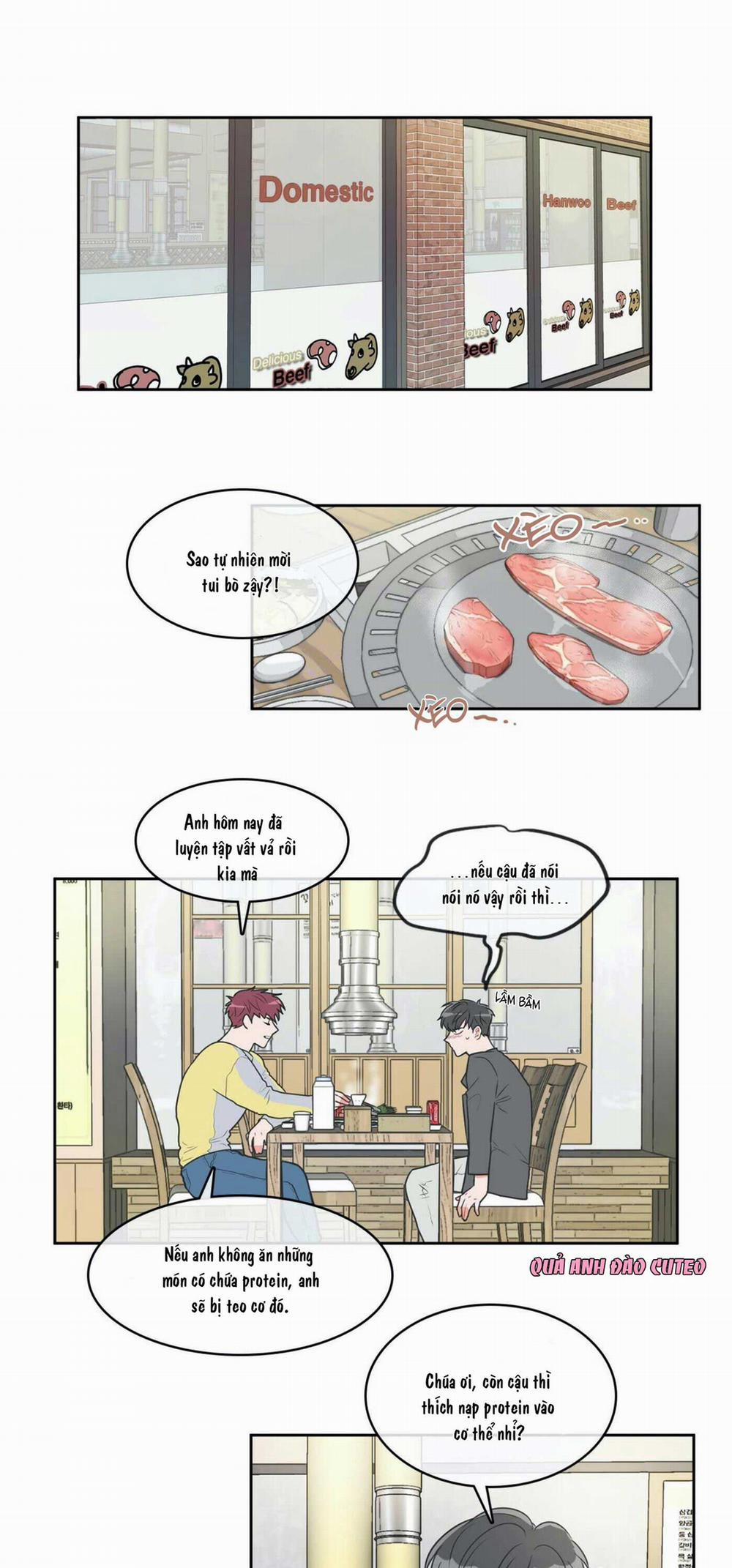 Huấn Luyện Viên Tôi Ghét Cậu 17 trang 0