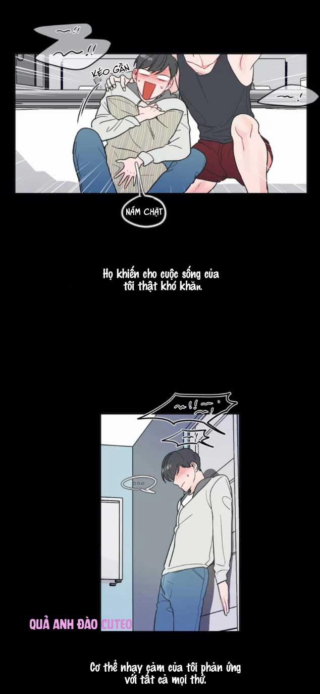 Huấn Luyện Viên Tôi Ghét Cậu 2 trang 2