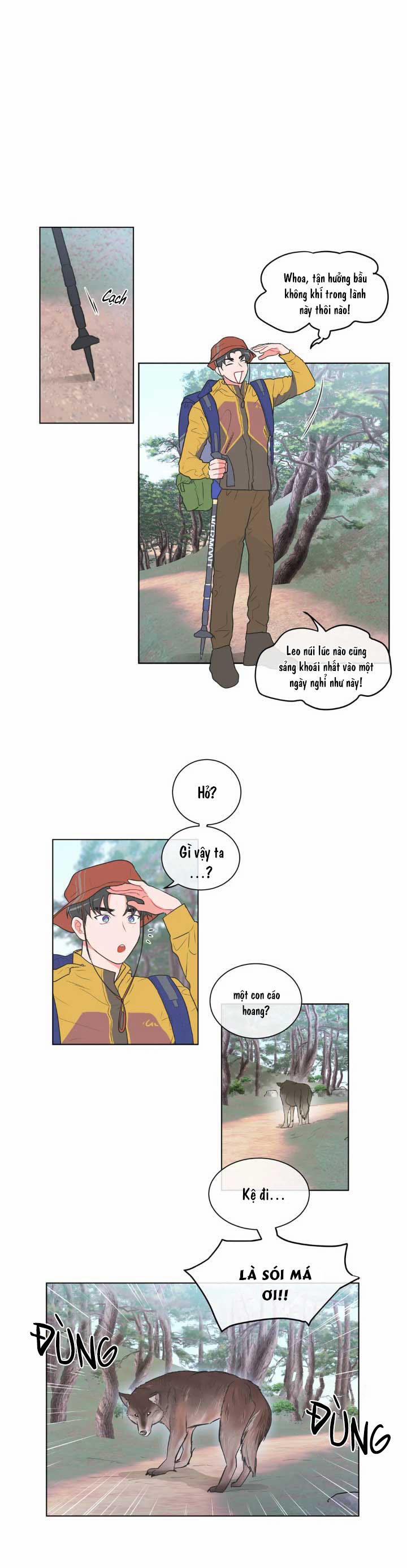 Huấn Luyện Viên Tôi Ghét Cậu 24 trang 0