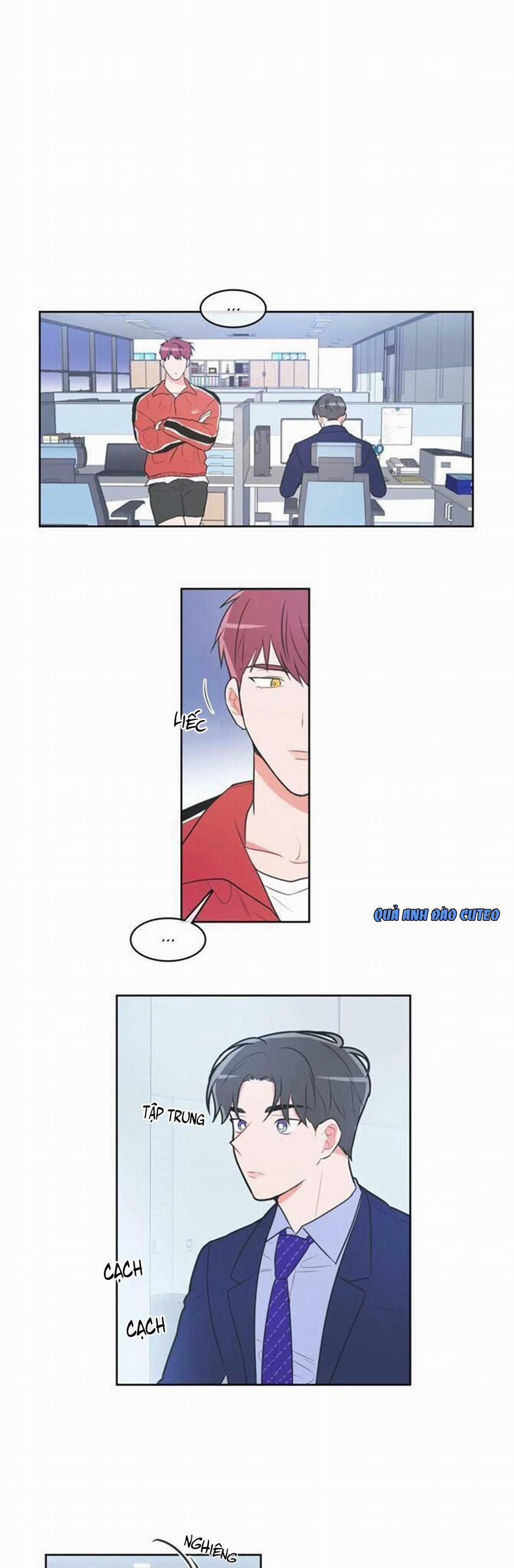 Huấn Luyện Viên Tôi Ghét Cậu 26 trang 11