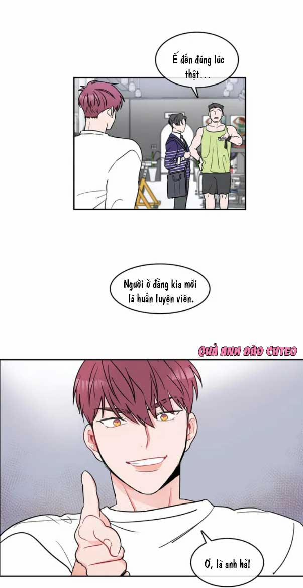 Huấn Luyện Viên Tôi Ghét Cậu 3 trang 0