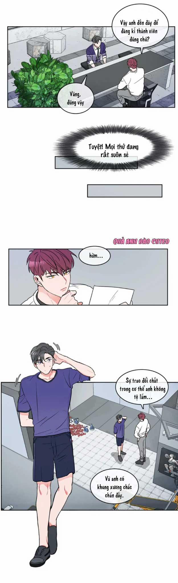 Huấn Luyện Viên Tôi Ghét Cậu 3 trang 10