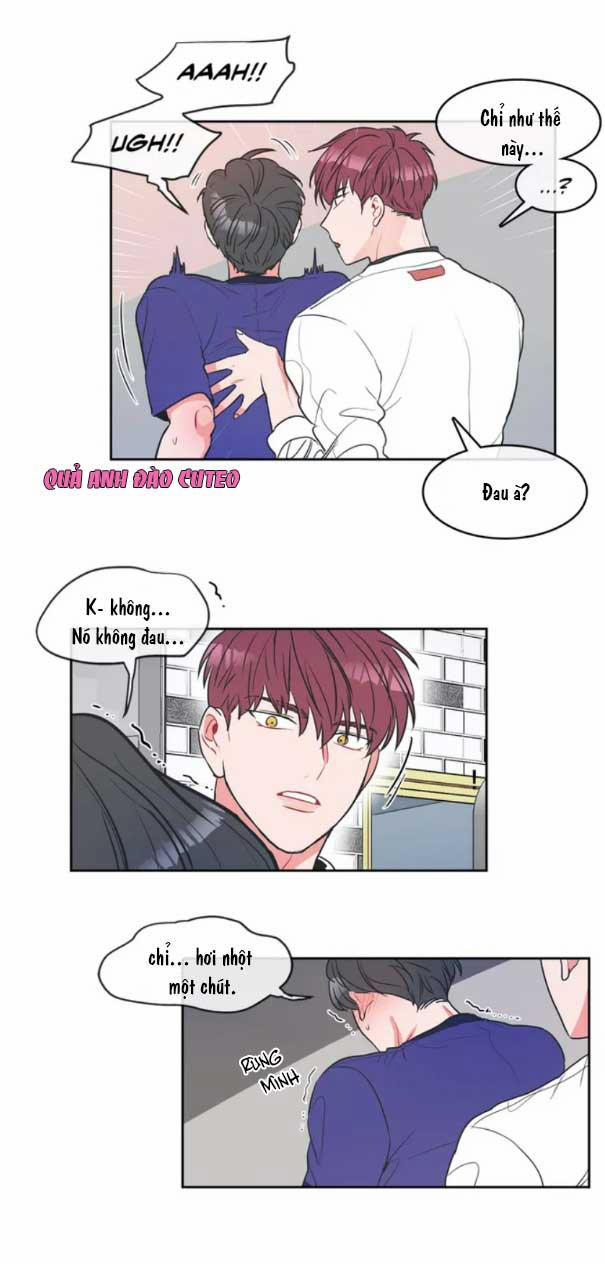 Huấn Luyện Viên Tôi Ghét Cậu 3 trang 12