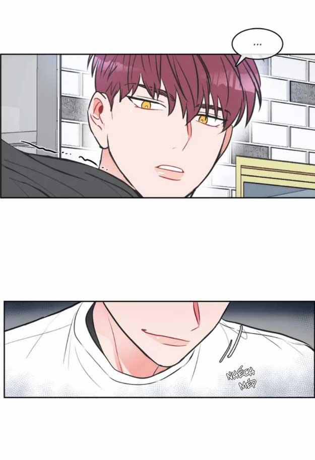 Huấn Luyện Viên Tôi Ghét Cậu 3 trang 13