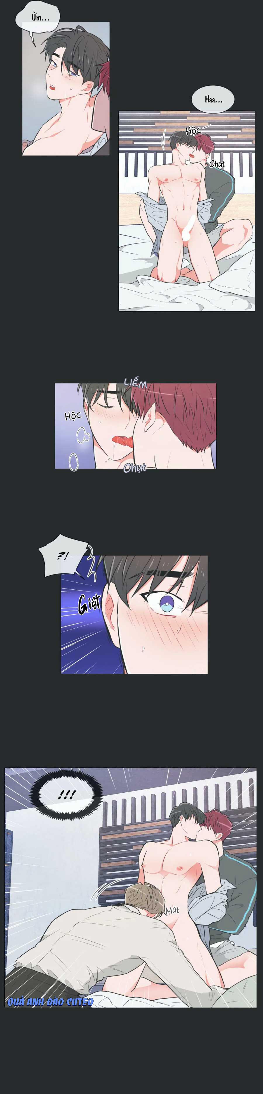 Huấn Luyện Viên Tôi Ghét Cậu 31 trang 1