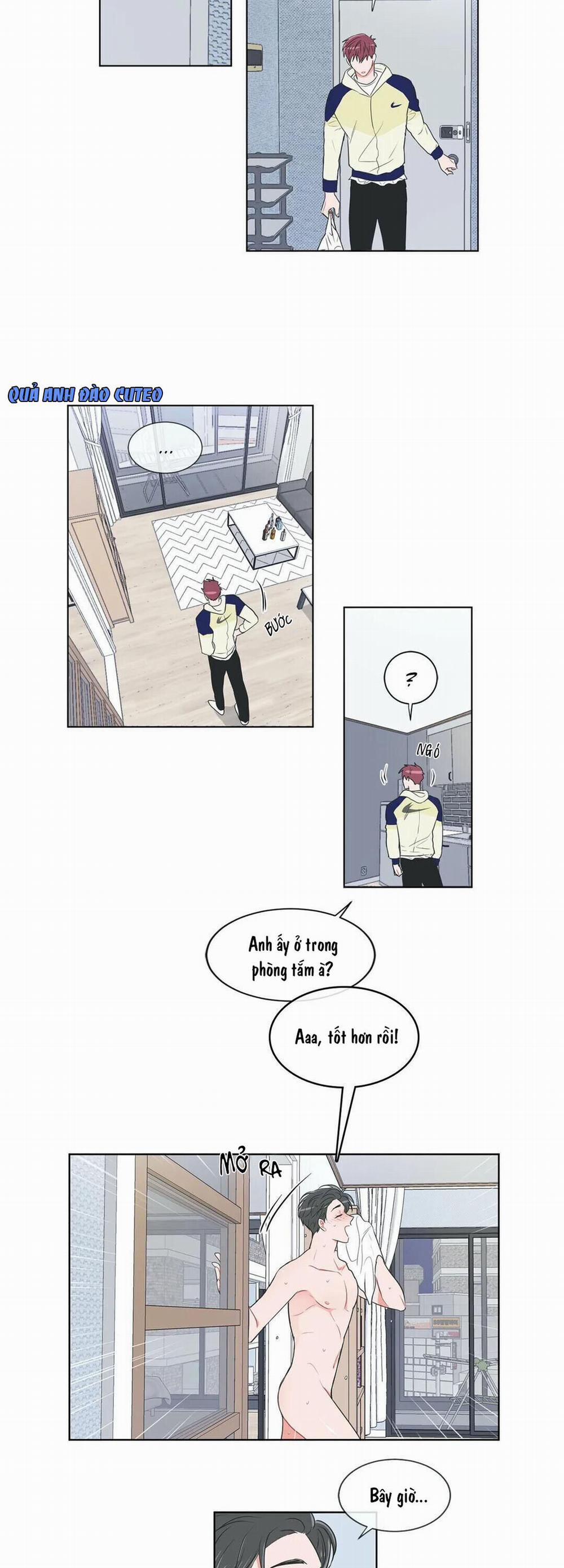 Huấn Luyện Viên Tôi Ghét Cậu 33 trang 16