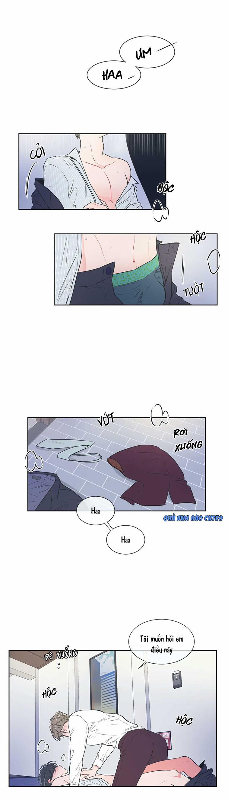 Huấn Luyện Viên Tôi Ghét Cậu 39 trang 13