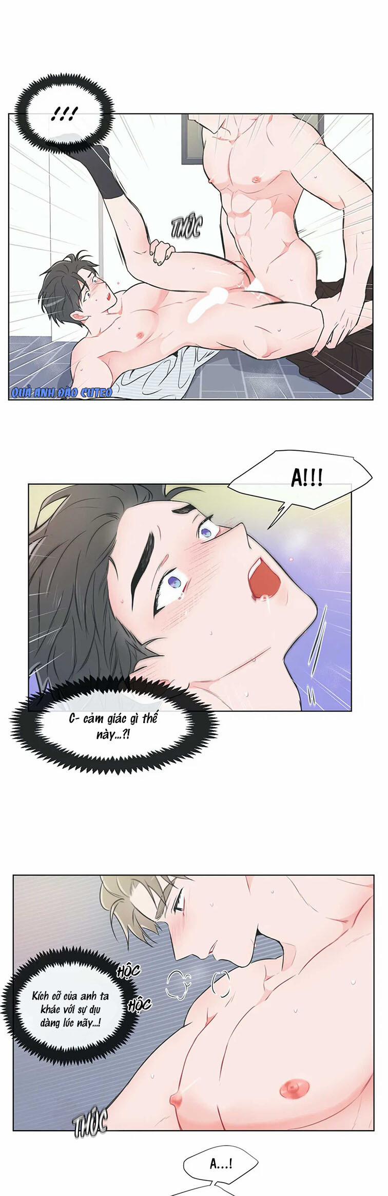 Huấn Luyện Viên Tôi Ghét Cậu 40 trang 7