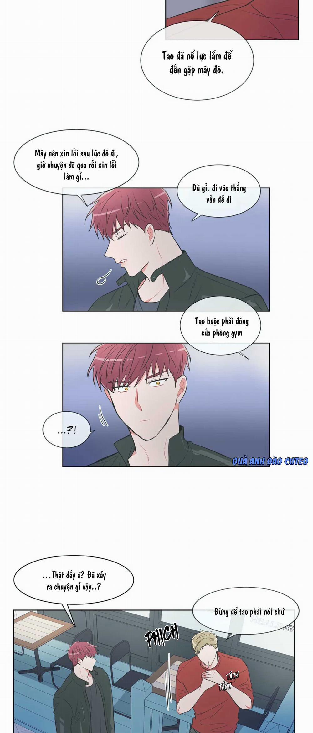 Huấn Luyện Viên Tôi Ghét Cậu 41 trang 11