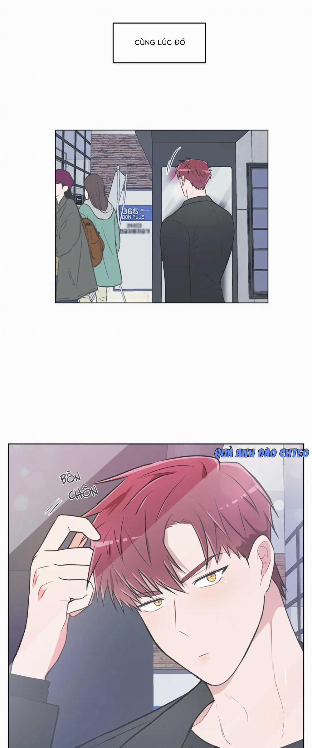 Huấn Luyện Viên Tôi Ghét Cậu 42 trang 5