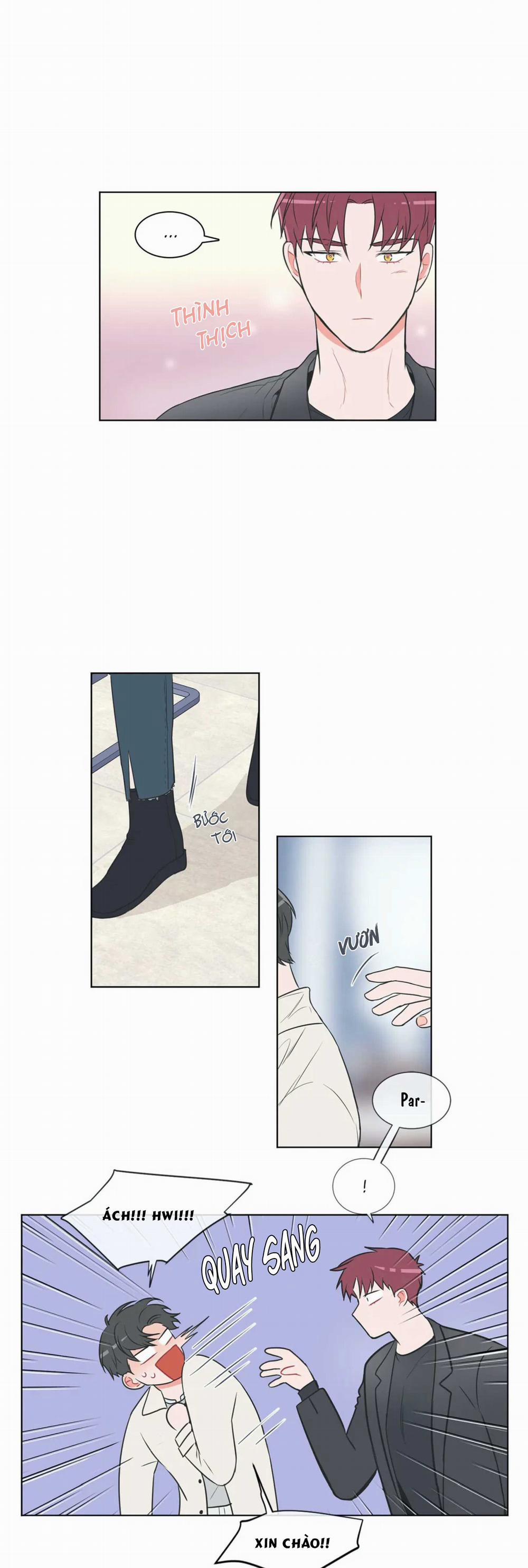 Huấn Luyện Viên Tôi Ghét Cậu 42 trang 8