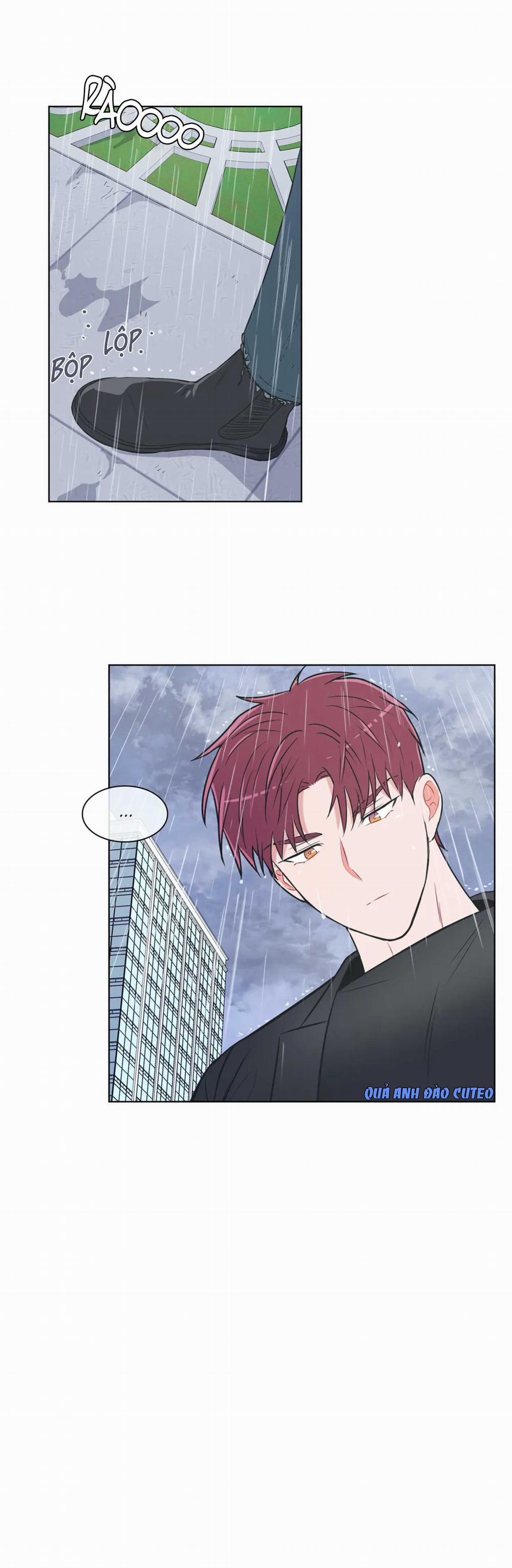 Huấn Luyện Viên Tôi Ghét Cậu 43 trang 1