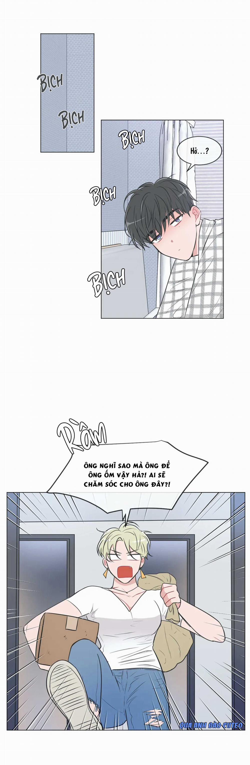 Huấn Luyện Viên Tôi Ghét Cậu 44 trang 1