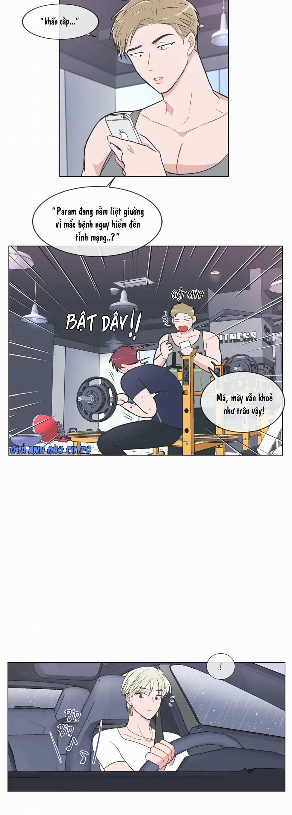 Huấn Luyện Viên Tôi Ghét Cậu 44 trang 12