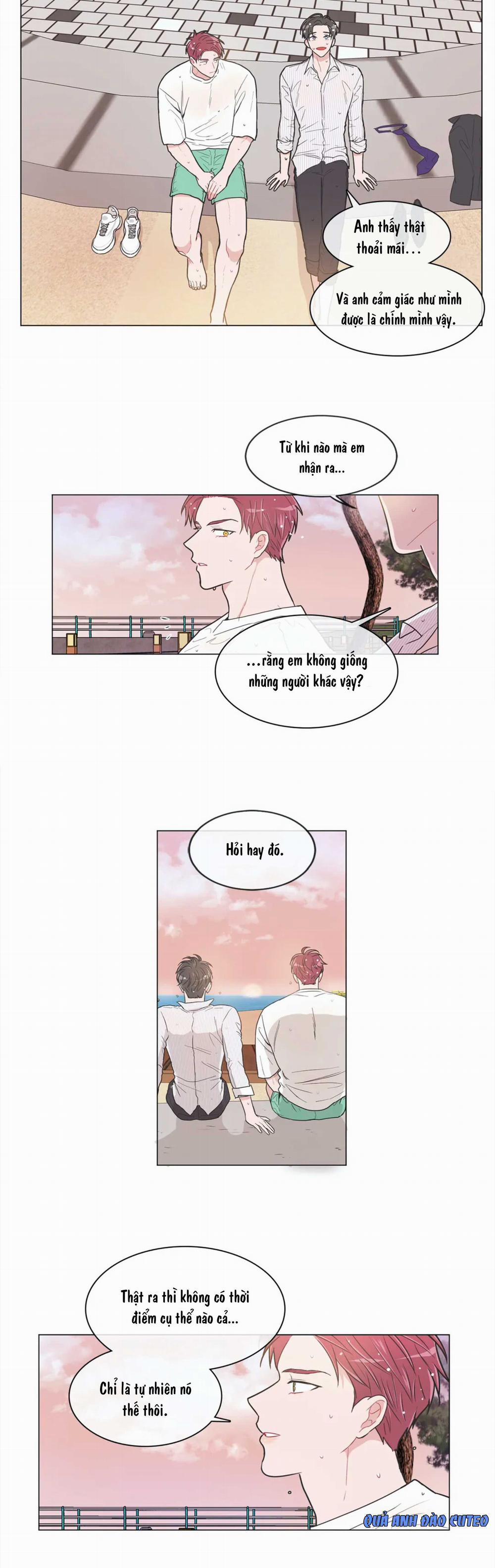 Huấn Luyện Viên Tôi Ghét Cậu 46 trang 15