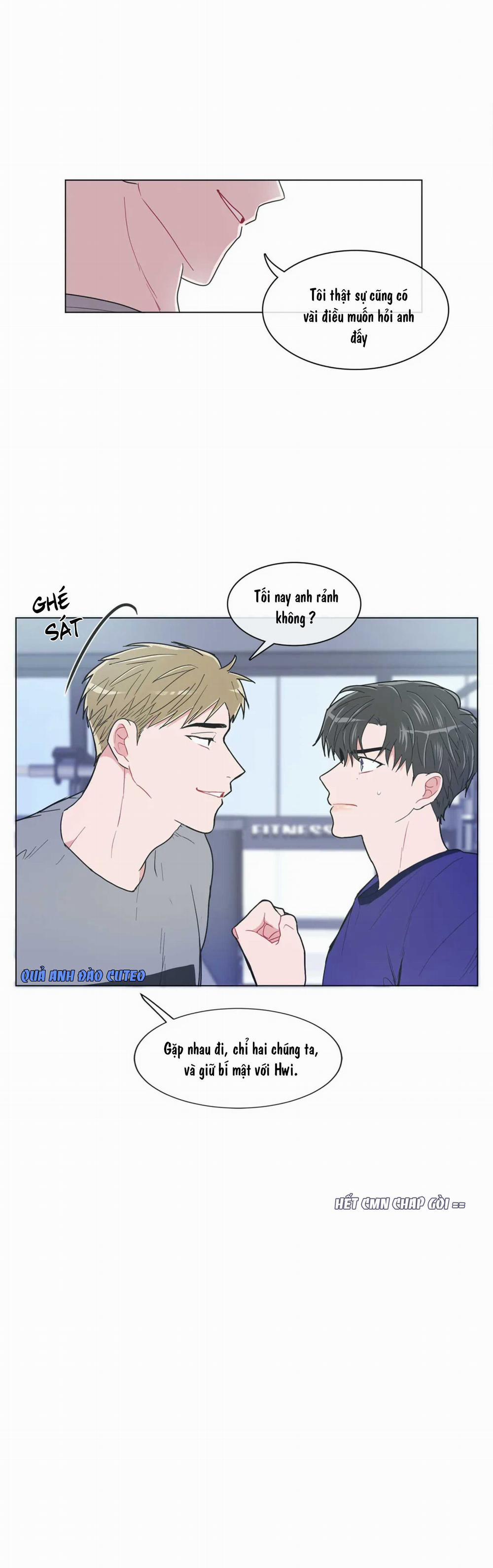 Huấn Luyện Viên Tôi Ghét Cậu 47 trang 21