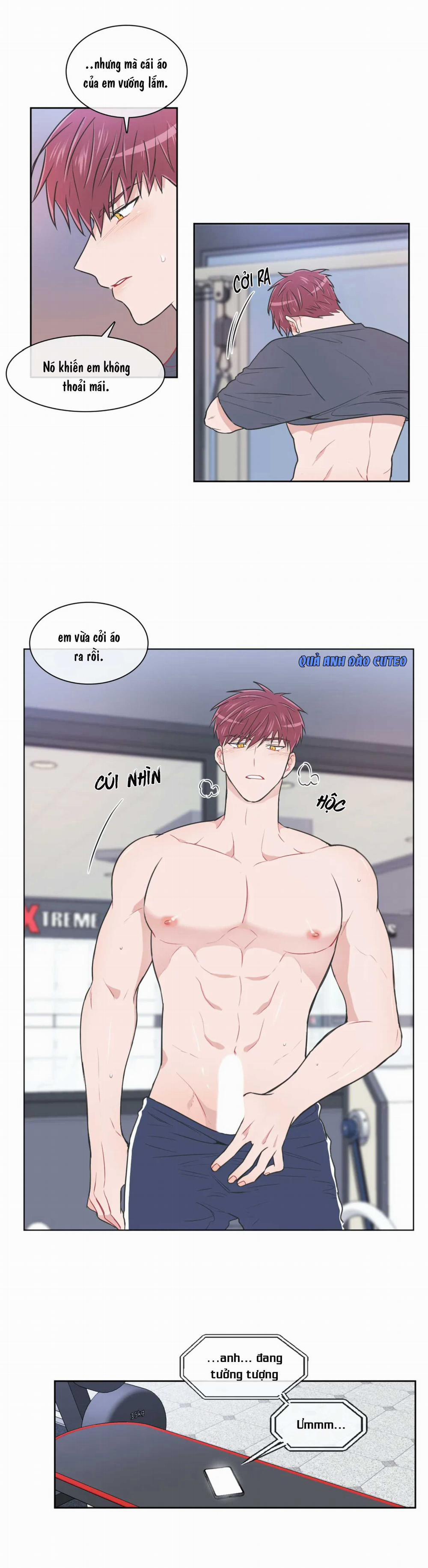 Huấn Luyện Viên Tôi Ghét Cậu 49 trang 13