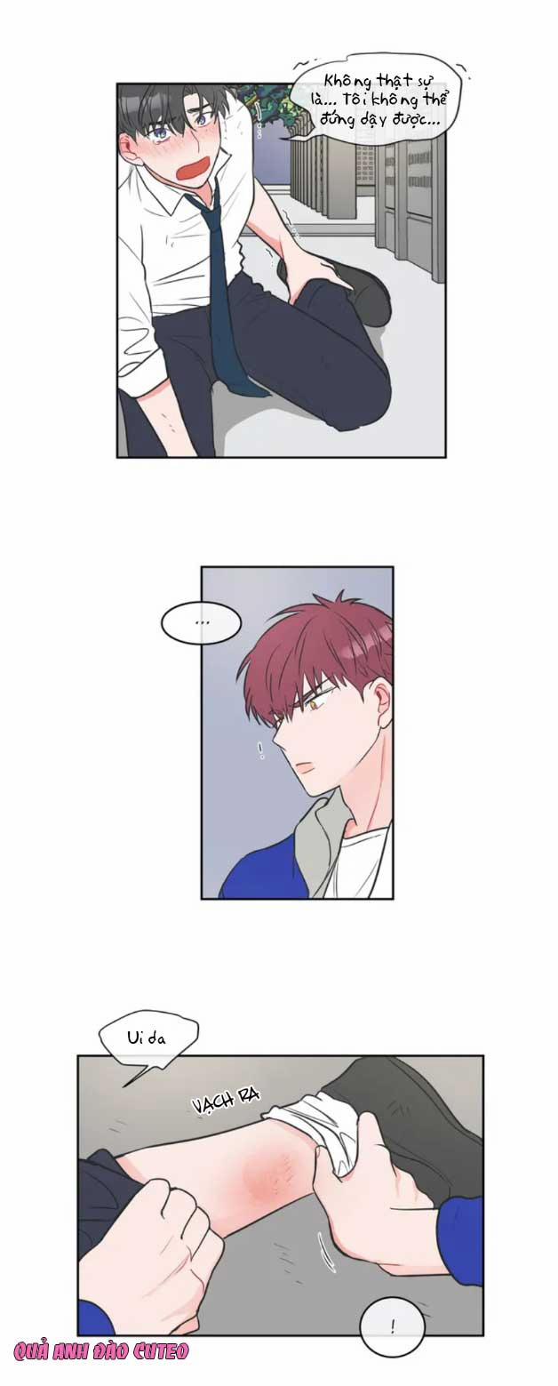 Huấn Luyện Viên Tôi Ghét Cậu 5 trang 12