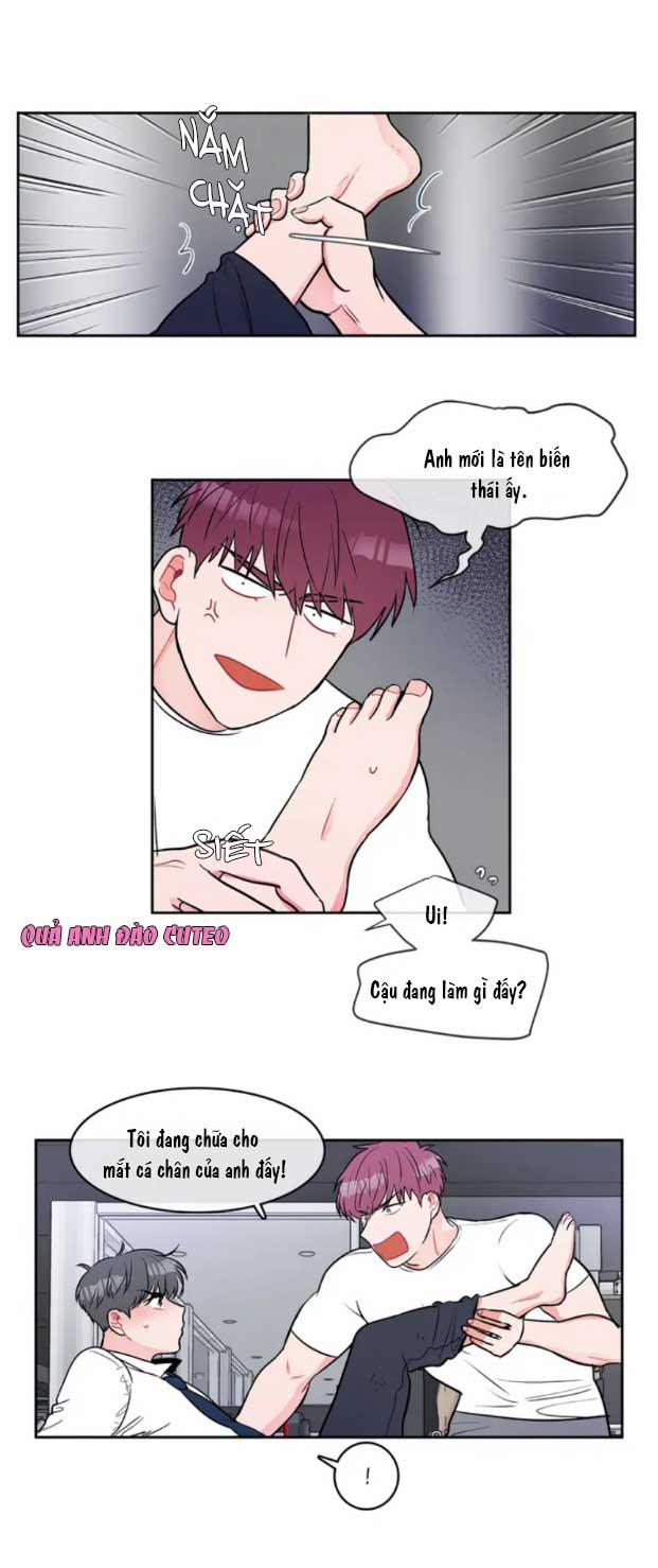 Huấn Luyện Viên Tôi Ghét Cậu 5 trang 15