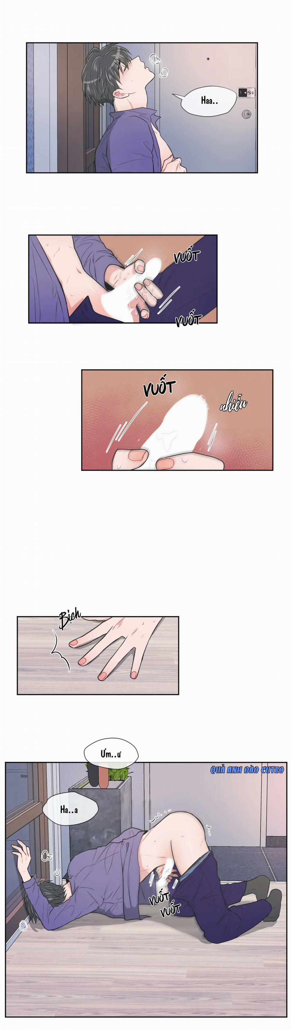 Huấn Luyện Viên Tôi Ghét Cậu 50 trang 1