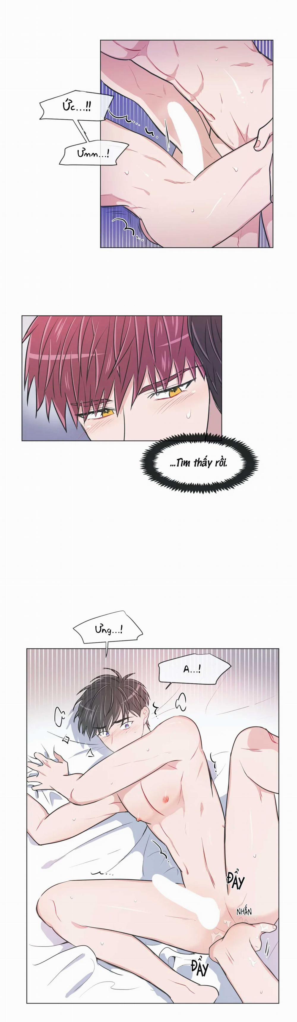 Huấn Luyện Viên Tôi Ghét Cậu 55 trang 1