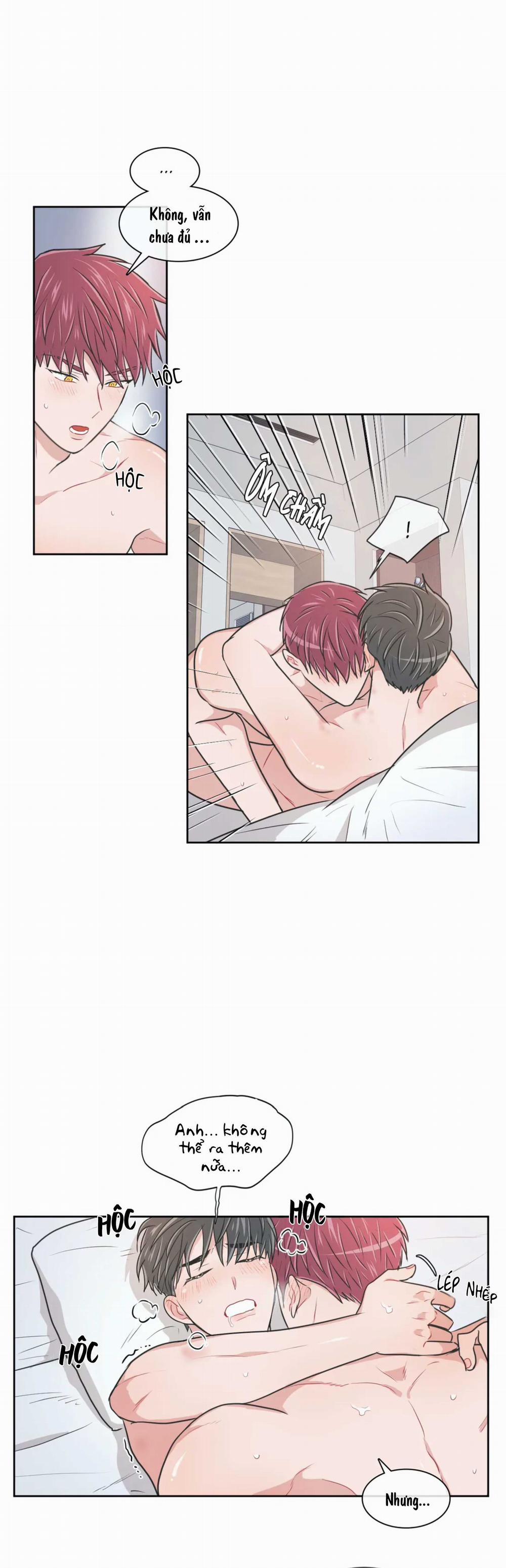 Huấn Luyện Viên Tôi Ghét Cậu 56 trang 1