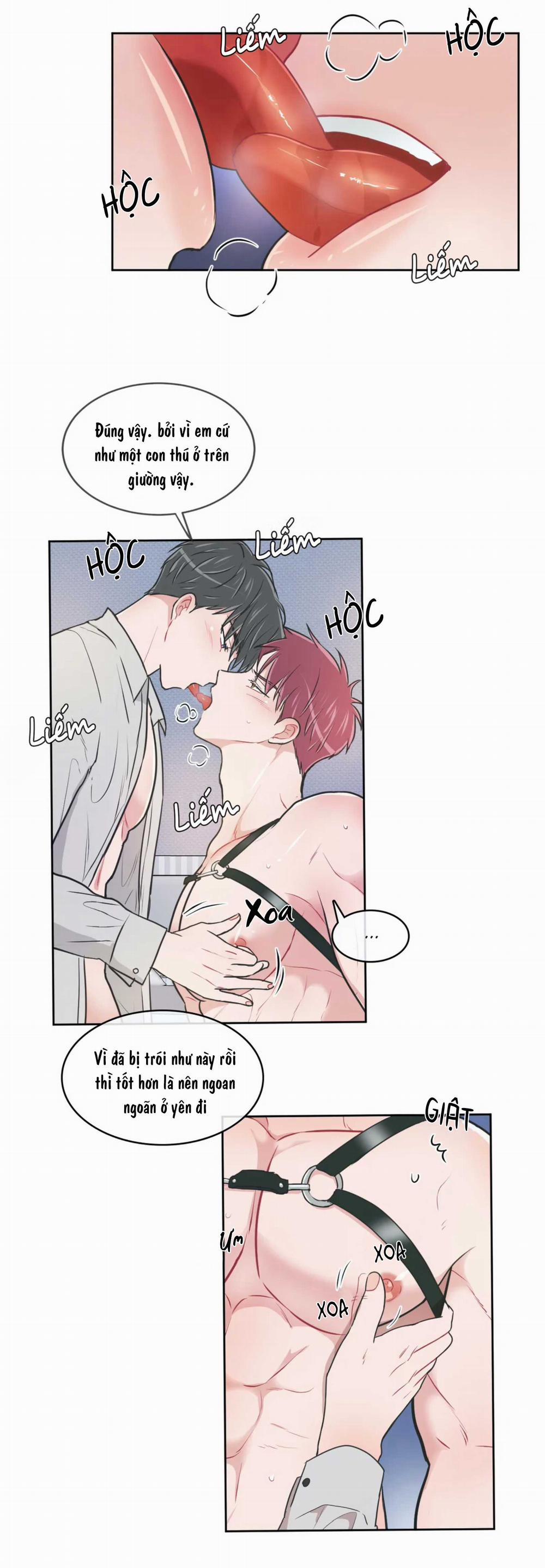 Huấn Luyện Viên Tôi Ghét Cậu 63 trang 9