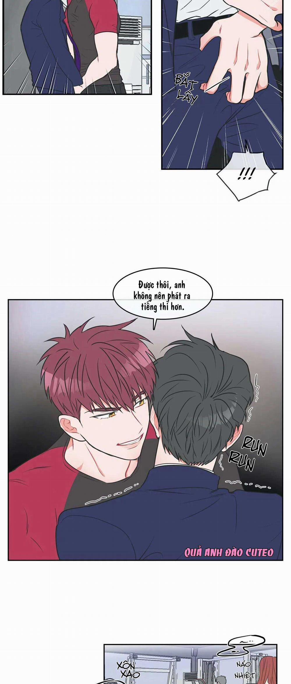 Huấn Luyện Viên Tôi Ghét Cậu 9 trang 12