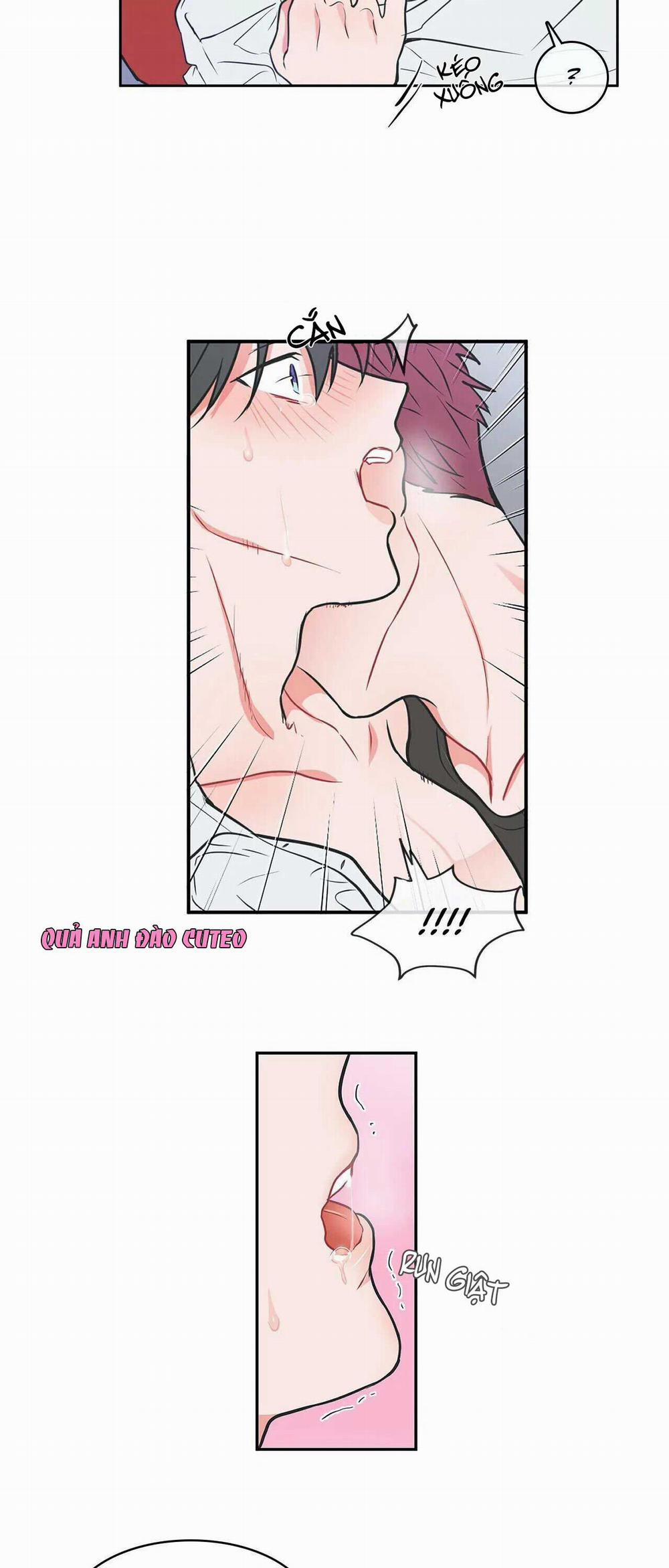 Huấn Luyện Viên Tôi Ghét Cậu 9 trang 15