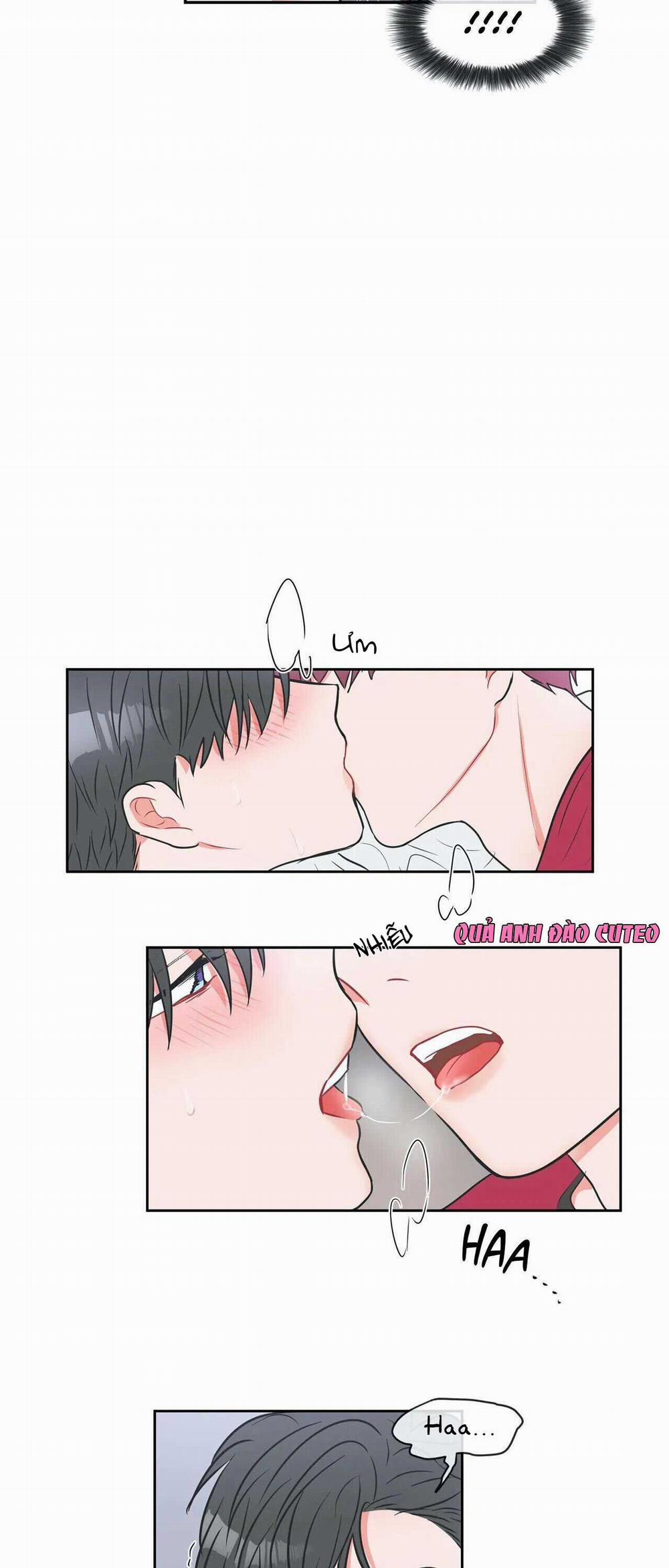 Huấn Luyện Viên Tôi Ghét Cậu 9 trang 24