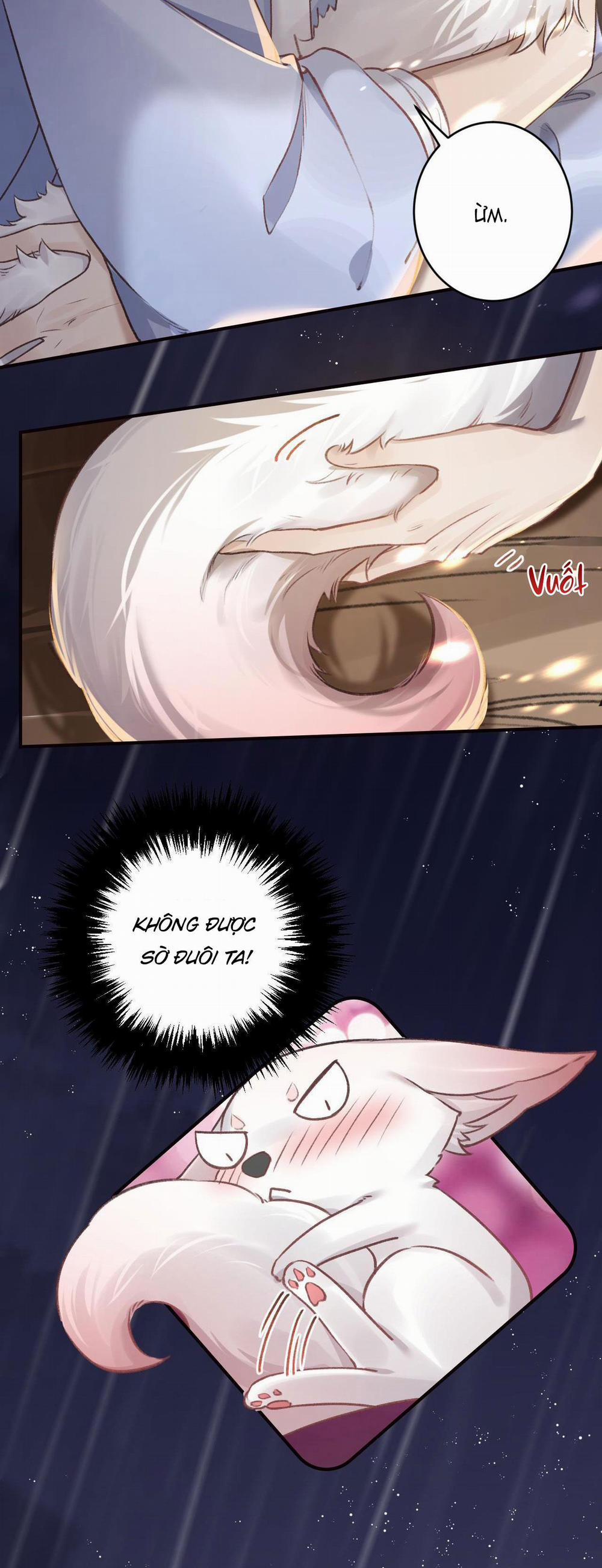 Hùm Mượn Oai Cáo 25 trang 19